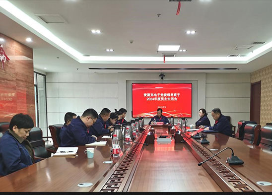 半導體材料板塊召開(kāi)黨委領(lǐng)導班子2024年度民主生活會(huì )